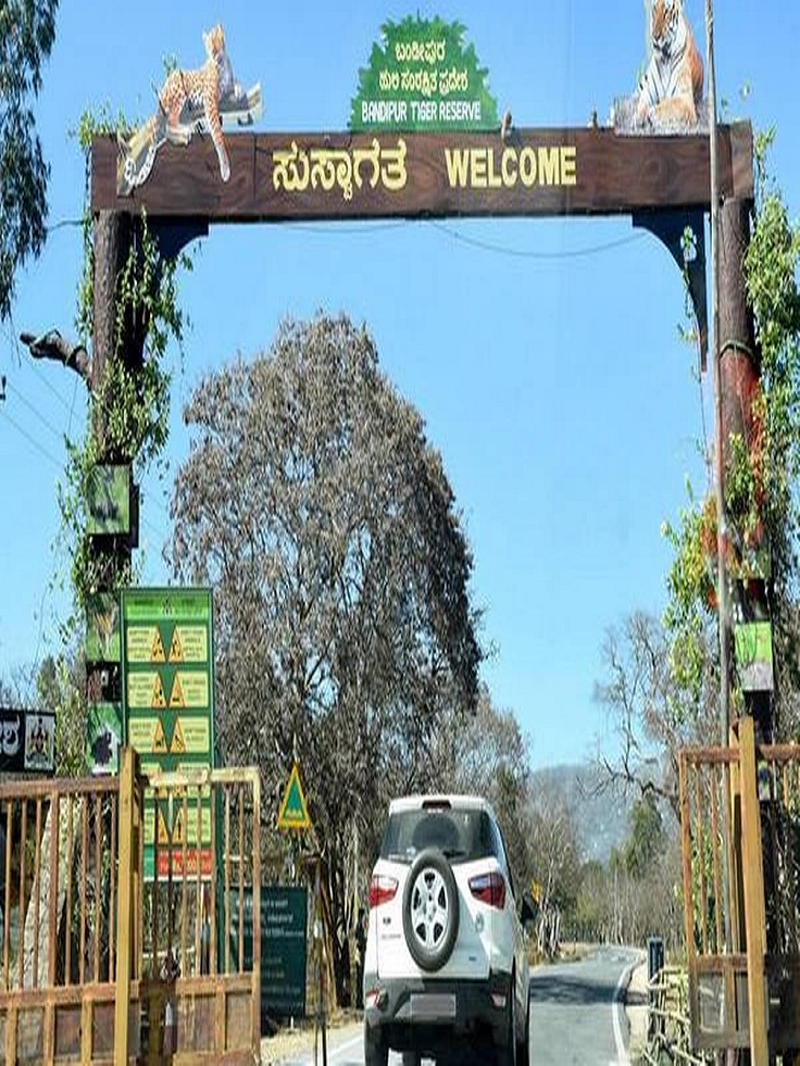 bandipura cabs service