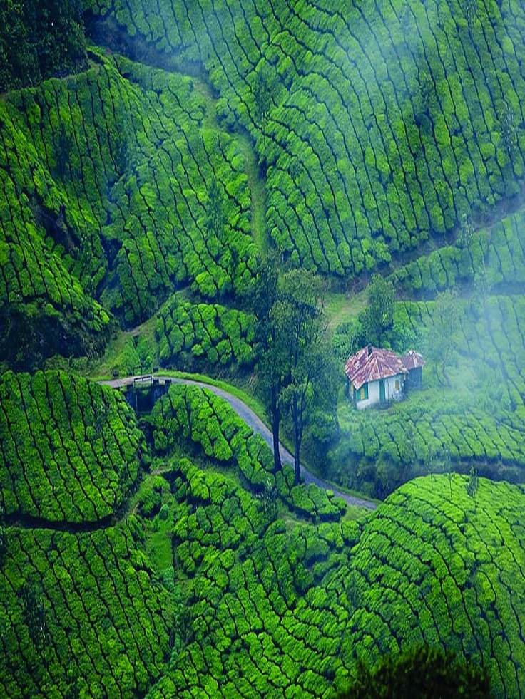 munnar cabs service
