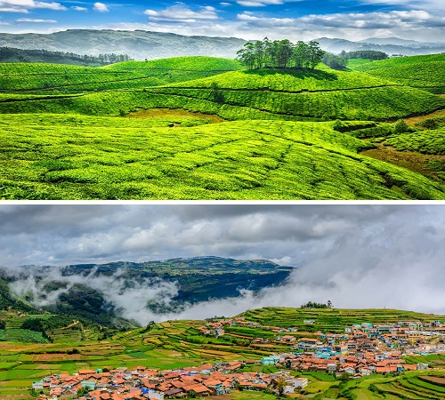 Mysuru to Ooty