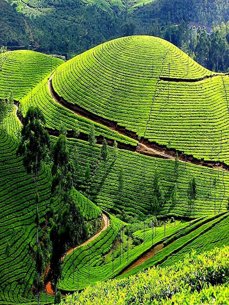 ooty cabs service