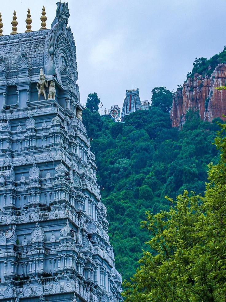 tirupathi cabs service