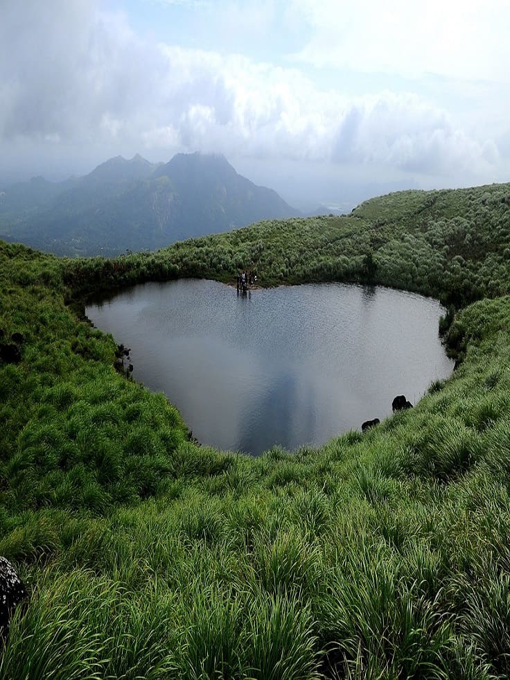 wayanad taxi service